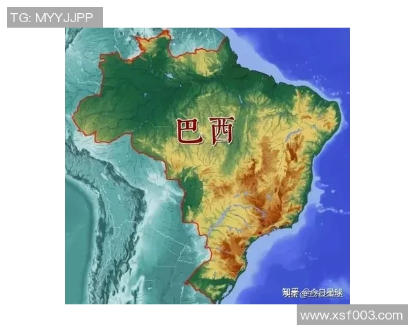 巴西女生足球崛起背后的故事与未来发展展望